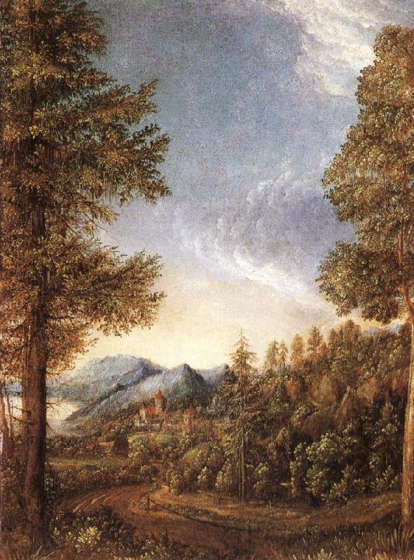 Albrecht Altdorfer Danube-landscape Spain oil painting art